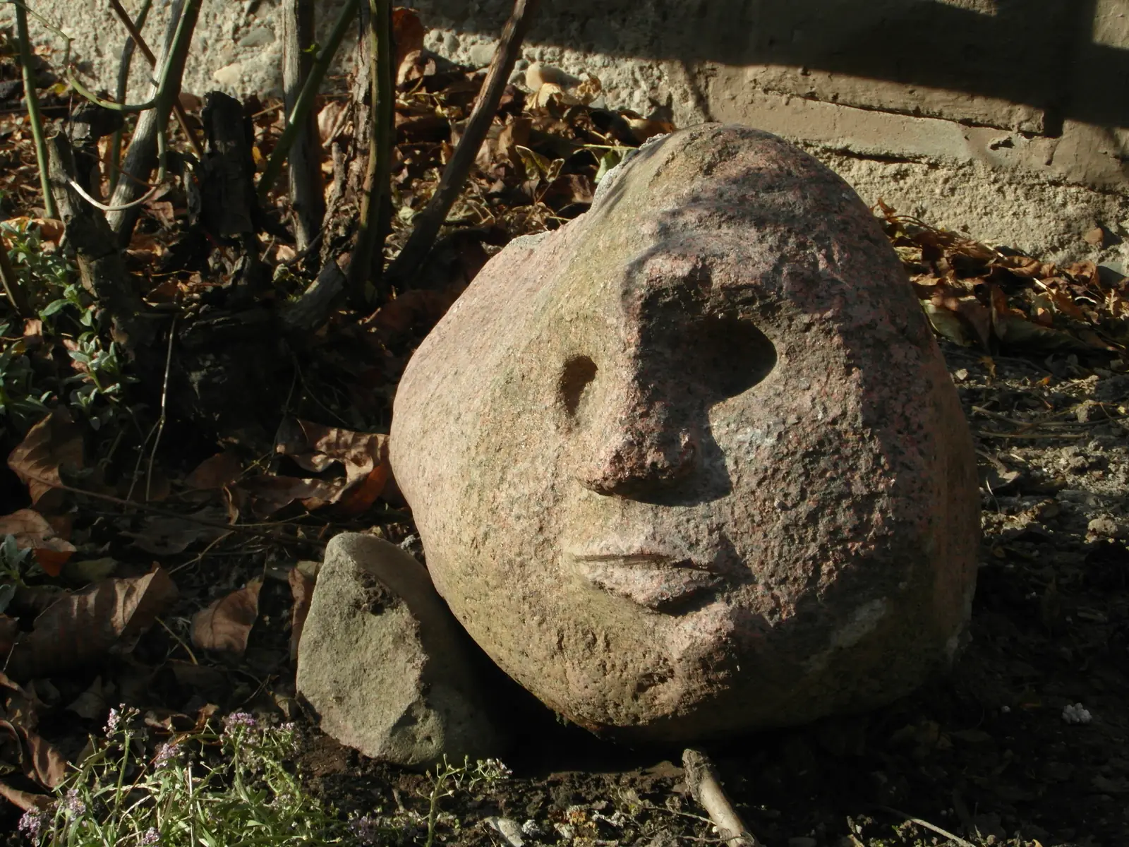 Červená hlava (červená žula)